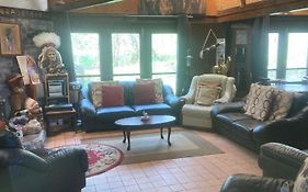 Haven Of Trees - Hafan Y Coed